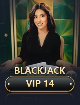 Blackjack Vip 14 cover art