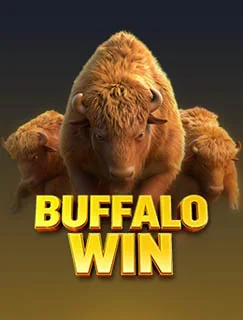 Buffalo Win cover art